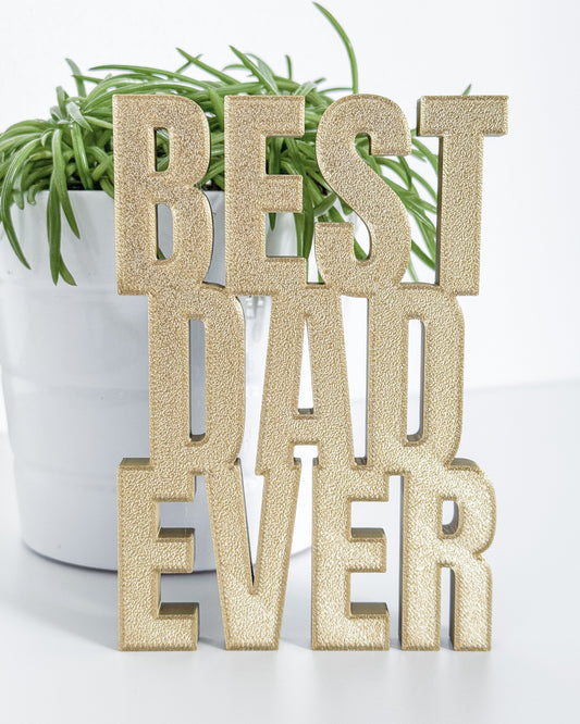 Best Dad Ever Sign